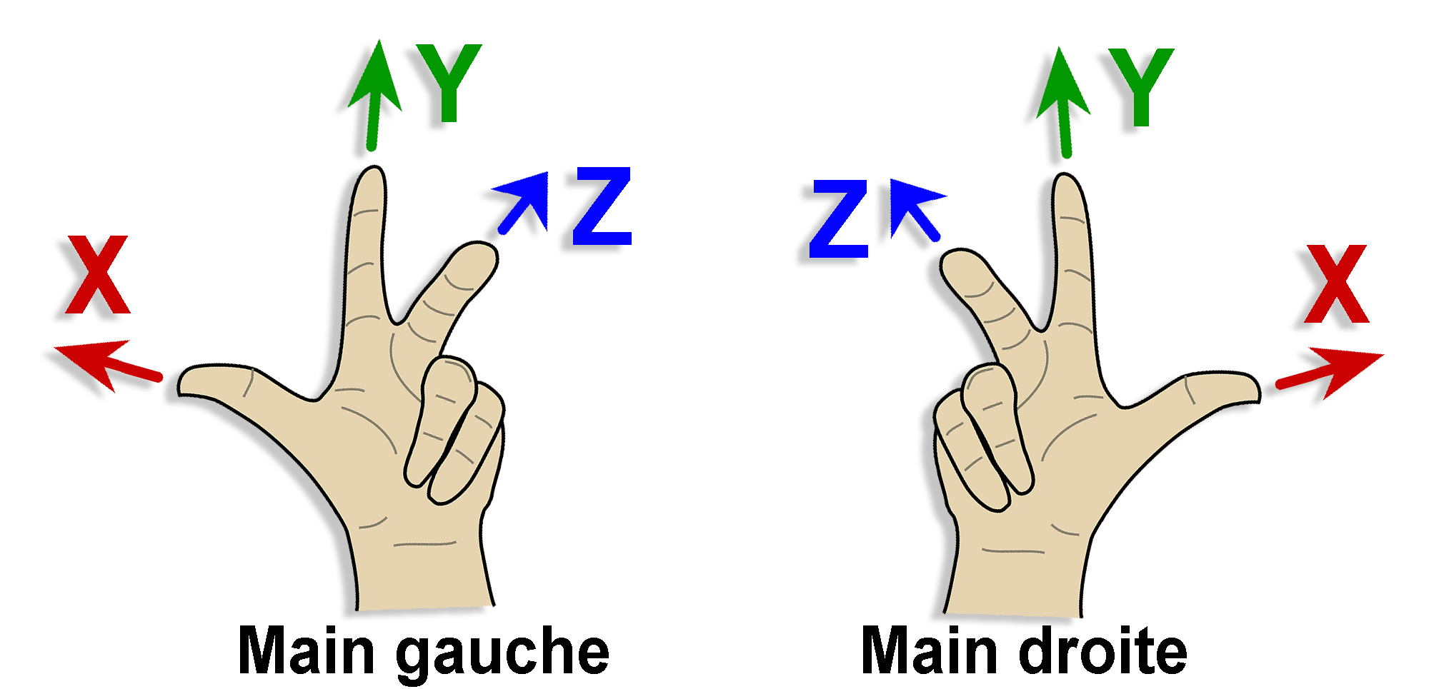 Regle_main_droite